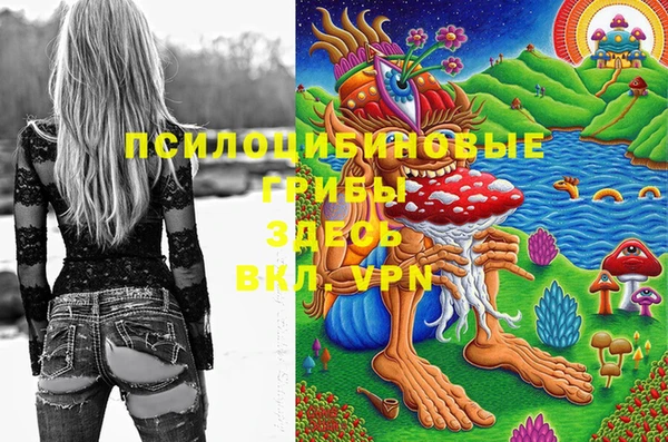 МДПВ Пестово