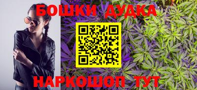 индика Заводоуковск
