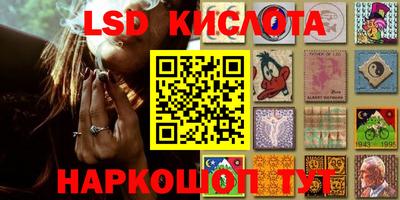 индика Заволжье