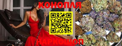индика Заводоуковск