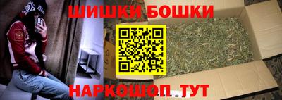 индика Заводоуковск