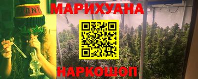 индика Заволжье