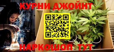 индика Заволжье