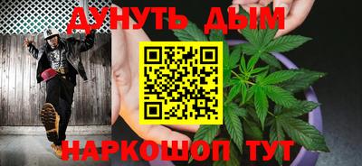 индика Заводоуковск