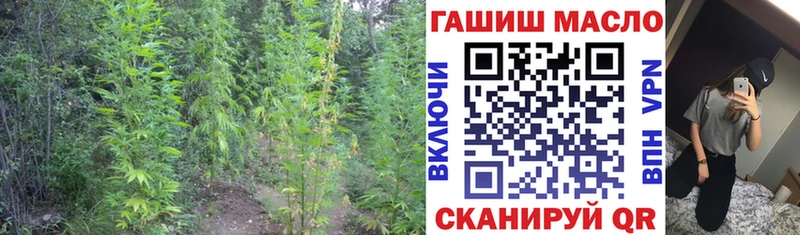 kraken как зайти Рузаевка Дистиллят ТГК THC oil