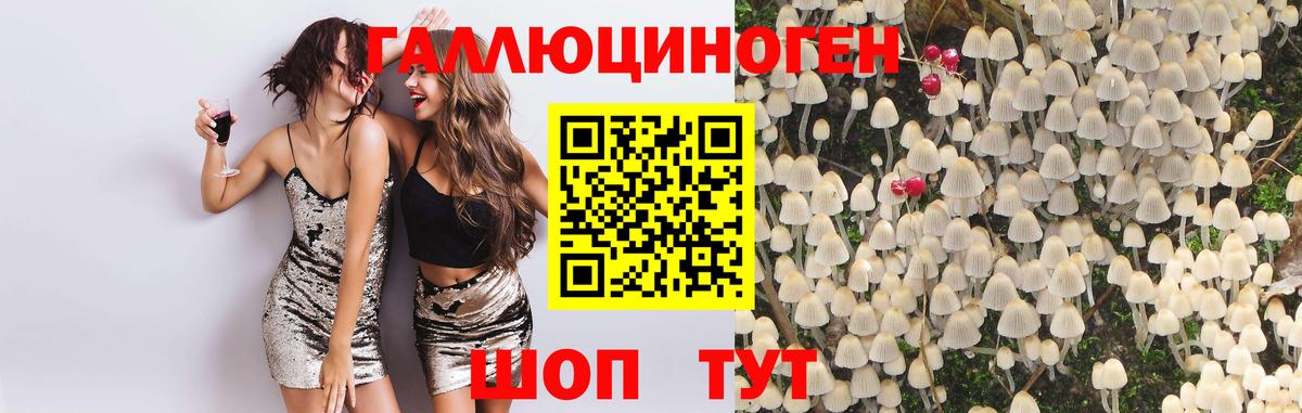 купить   Галлюциногенные грибы мицелий  Рузаевка  Псилоцибиновые грибы мицелий 