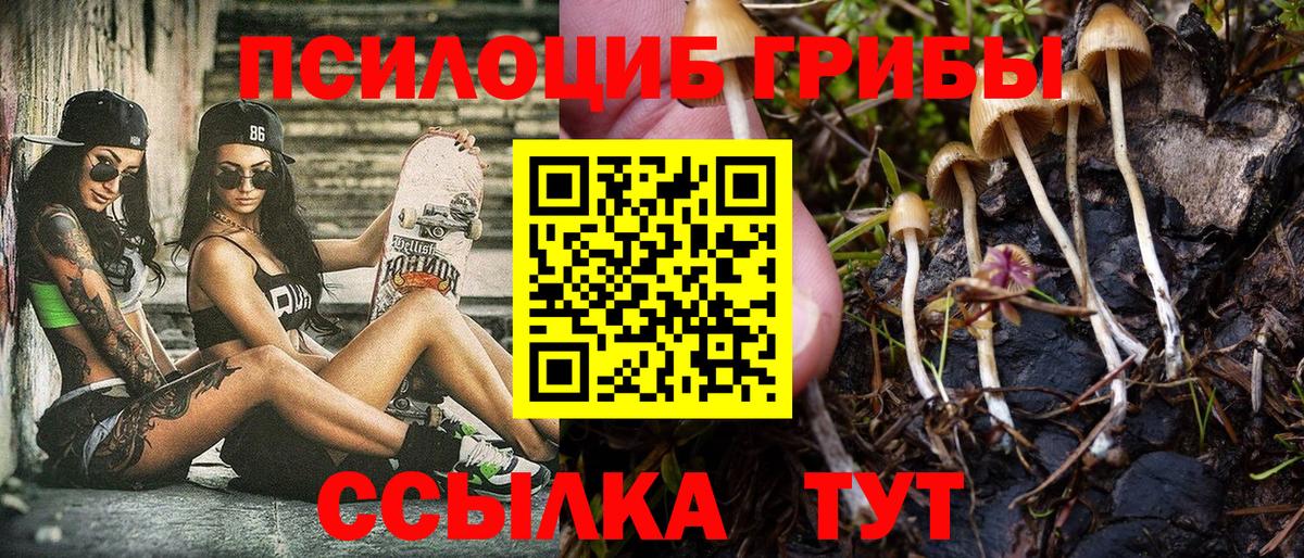 Псилоцибиновые грибы Psilocybe  Вход с VPN  Рузаевка 